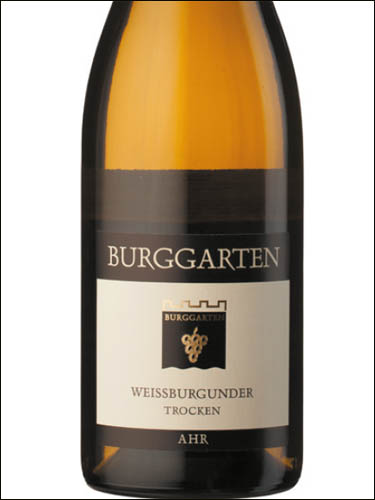 фото Burggarten Weissburgunder trocken Ahr Бурггартен Вайсбургундер трокен Ар Германия вино белое