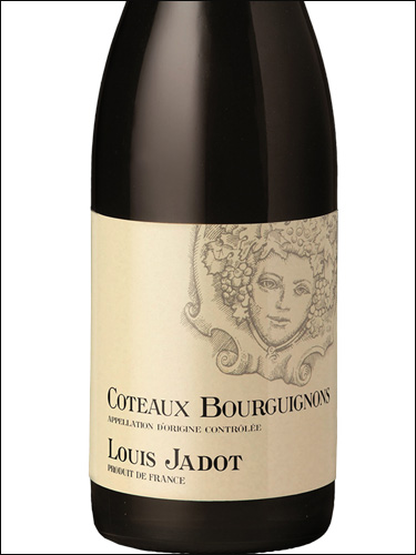 фото Louis Jadot Coteaux Bourguignons Rouge AOC Луи Жадо Кото Бургиньон Руж Франция вино красное