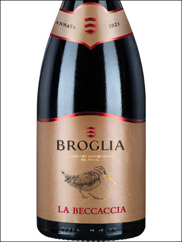 фото Broglia La Beccaccia Langhe Nebbiolo DOC Бролья Ла Беккачча Ланге Неббиоло Италия вино красное