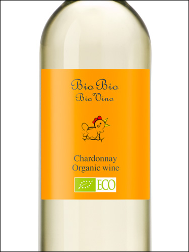 фото Bio Bio Chardonnay Био Био Шардоне Италия вино белое