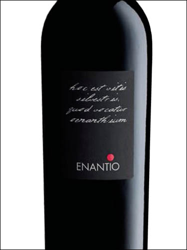 фото Roeno Enantio Terradeiforti DOC Роэно Энантио Террадеифорти Италия вино красное