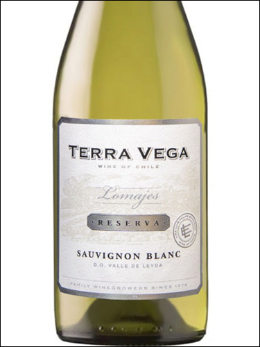 фото Terra Vega Lomajes Reserva Sauvignon Blanc Терра Вега Ломахес Резерва Совиньон Блан Чили вино белое