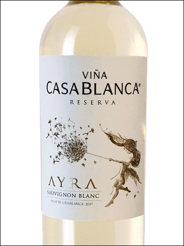 фото Vina Casablanca AYRA Reserva Sauvignon Blanc Valle de Casablanca Винья Касабланка АУРА Резерва Совиньон Блан Долина Касабланка Чили вино белое