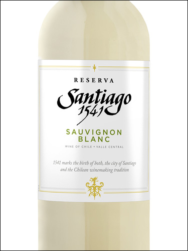 фото Santiago 1541 Reserva Sauvignon Blanc Сантьяго 1541 Резерва Совиньон Блан Чили вино белое